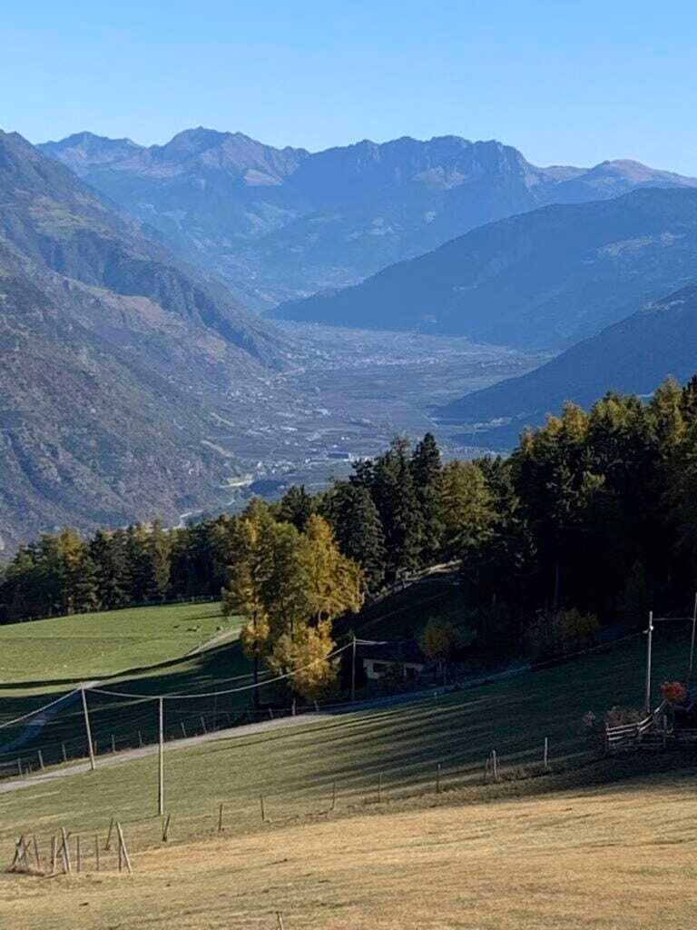 Gourmet Camp Vinschgau