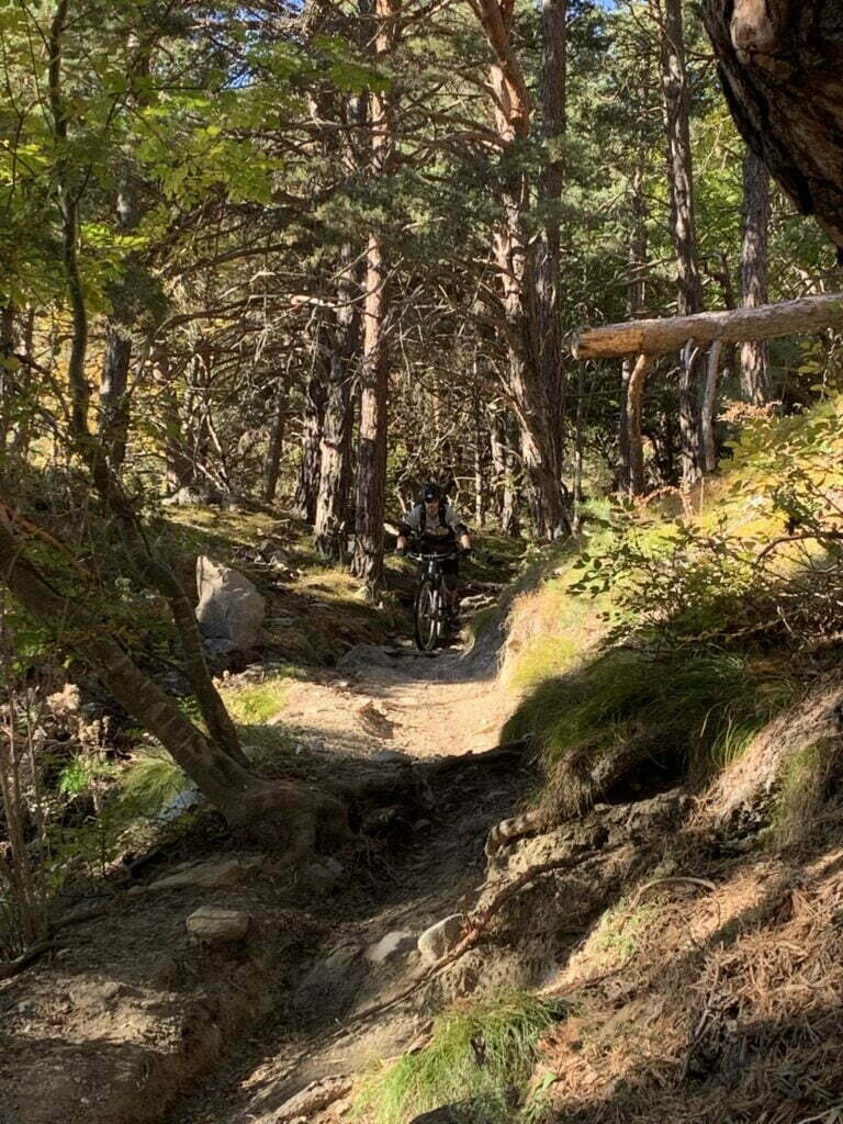 Gourmet Camp Vinschgau