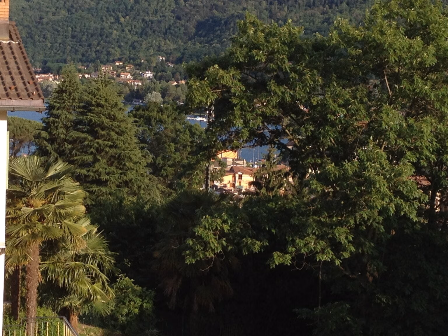 Palmen und Dorf über dem Lago di Lugano im Malcantone