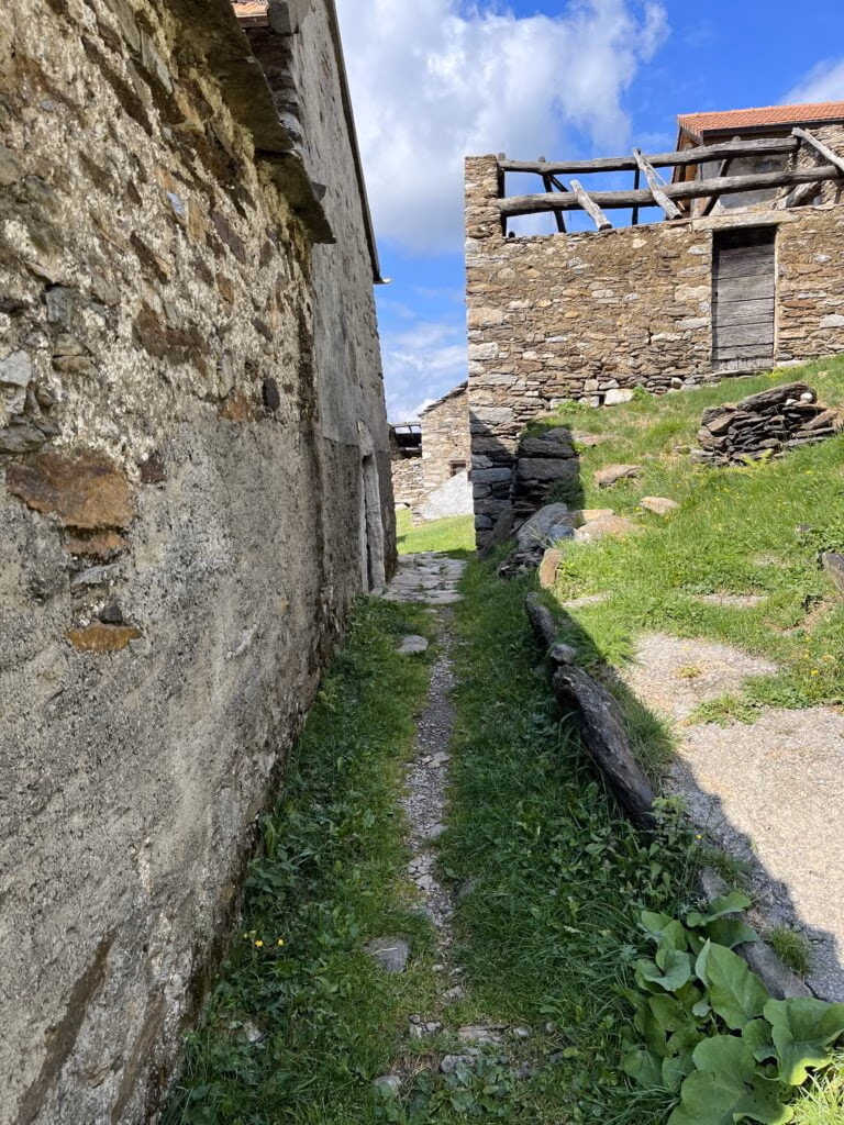 Ticino Camp