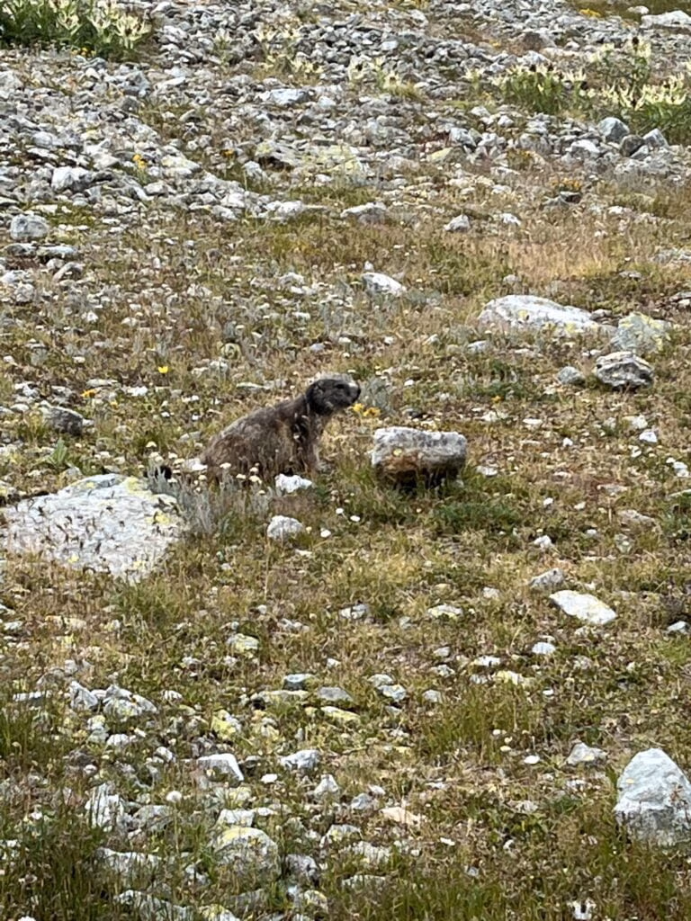 Engadin Genuss Camp