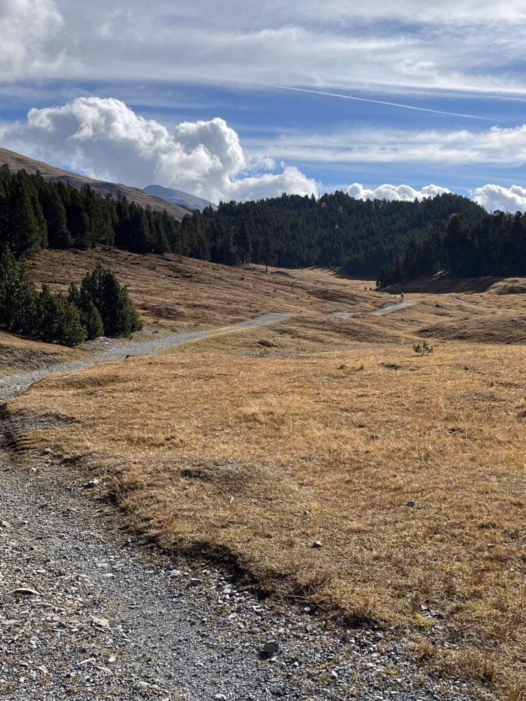 Münstertal Camp