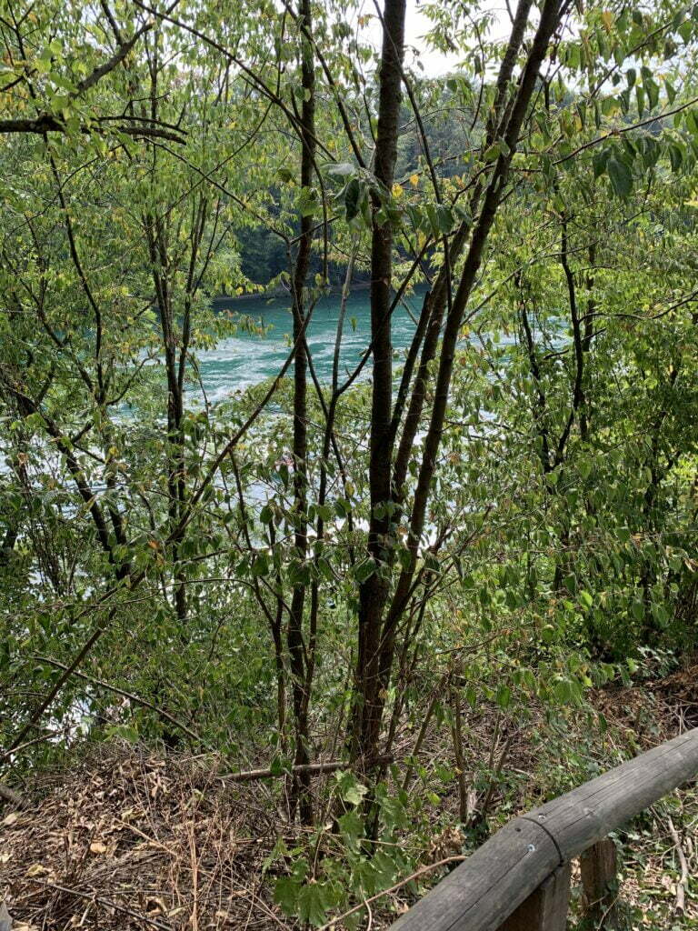 Grenzflowcamp Rheinfall-Elsass – unterwegs