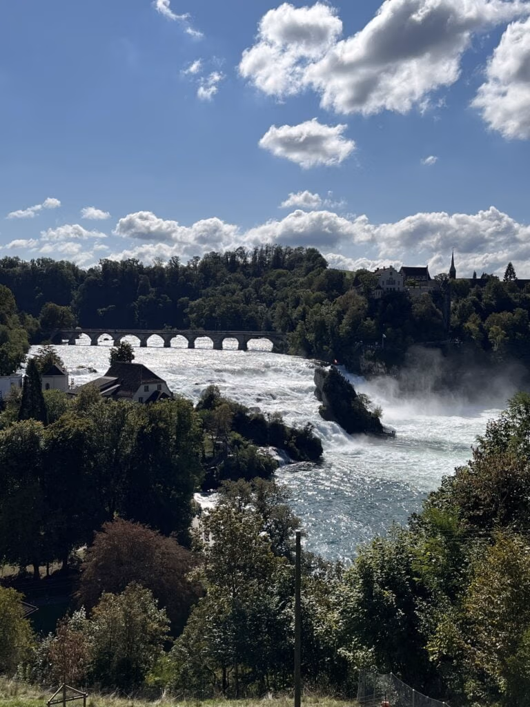 Grenzflowcamp Rheinfall-Elsass – unterwegs