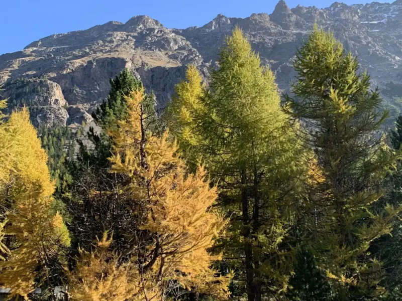 Graubünden: Engadin