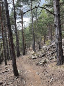 Vinschgau: Gourmet Camp Vinschgau