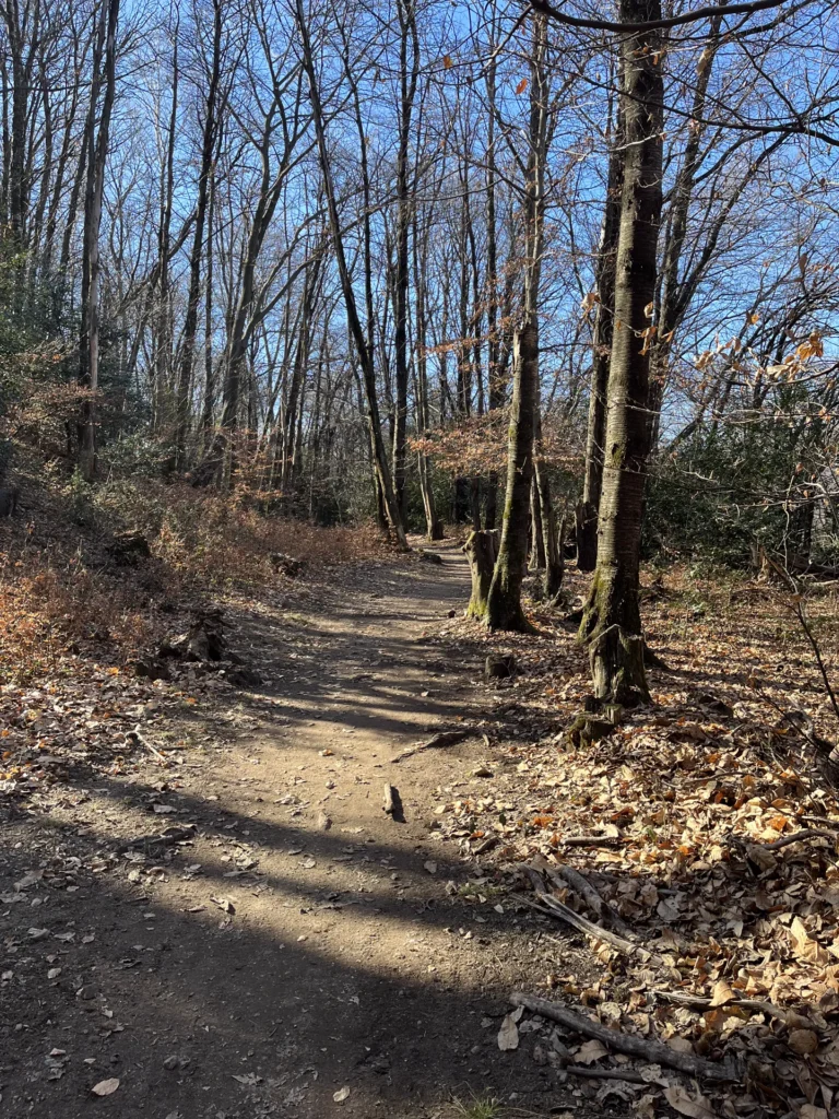 TICINO CAMP – Impressionen