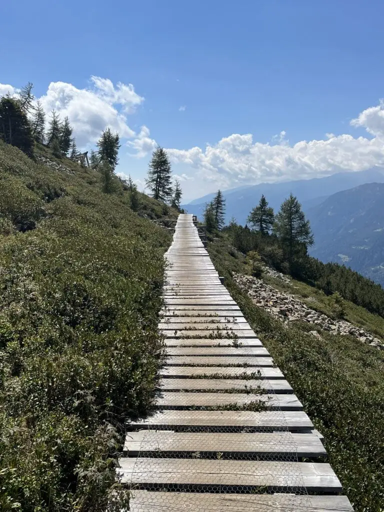 Steintreppe im Wald – Wohin führt dein Weg?