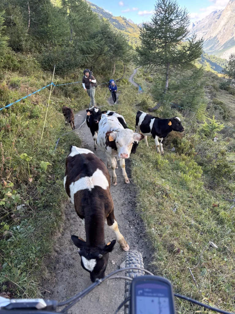 Westalpencross mit dem E-MTB – Tag 2: Rifugio Elena – Kleiner St. Bernhard – Camping Le Reclus (Bild 3)