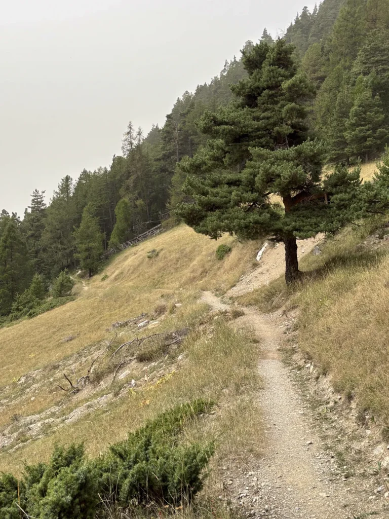 Westalpencross mit dem E-MTB – Tag 7: Arvieux – Les Escoyères – Ceillac (Bild 2)