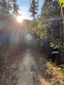 Westalpencross mit dem E-MTB – Tag 13: Bajardo – Finale nach San Remo (Bild 1)